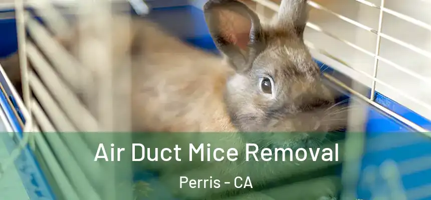 Air Duct Mice Removal Perris - CA