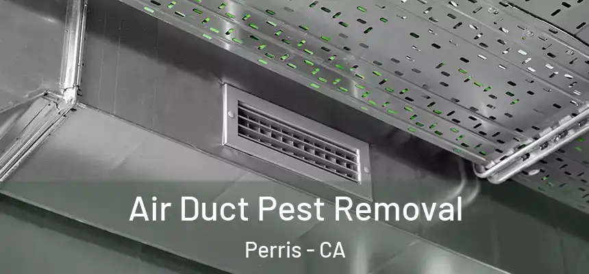 Air Duct Pest Removal Perris - CA