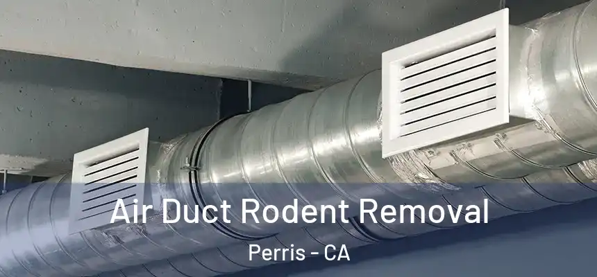 Air Duct Rodent Removal Perris - CA