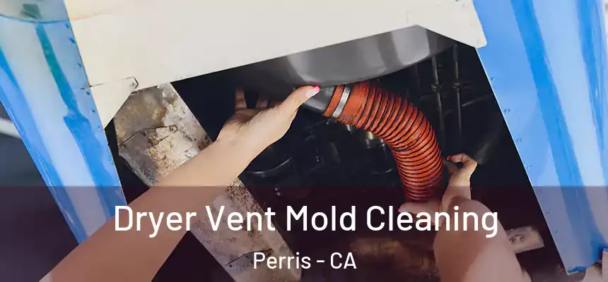Dryer Vent Mold Cleaning Perris - CA