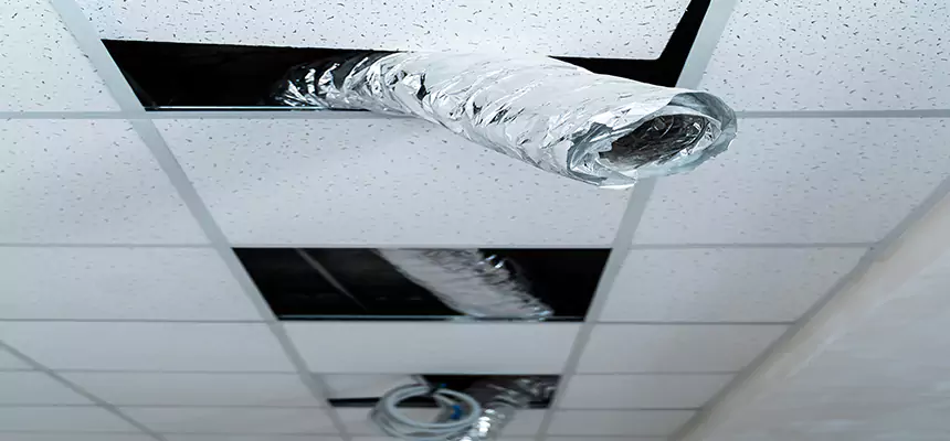 Our Air Duct Pet Hair Removal Services in Perris, CA