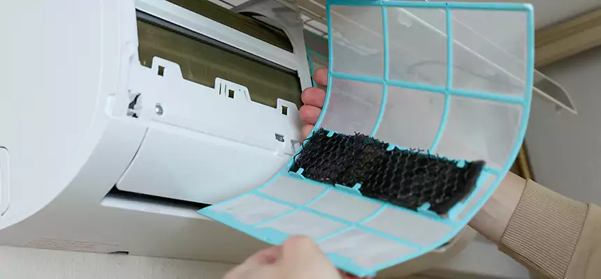 Gentle Ductwork Odor-Control Pet Dander Duct Cleaning in Perris, CA