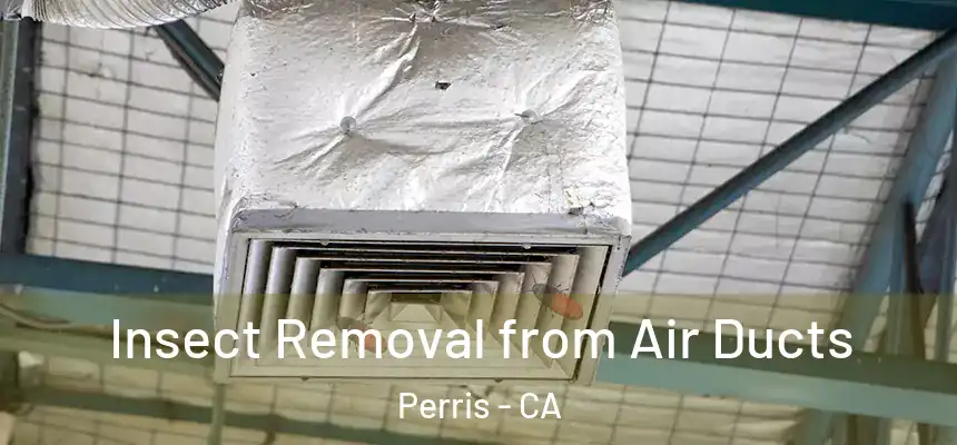 Insect Removal from Air Ducts Perris - CA