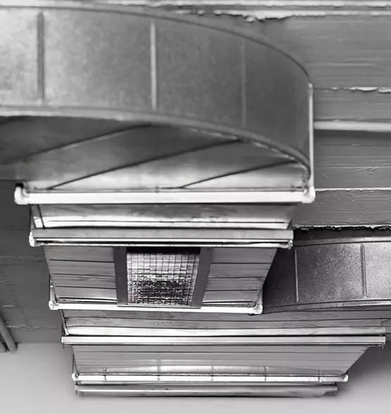 Professional Air Duct Pest Removal in Perris, CA