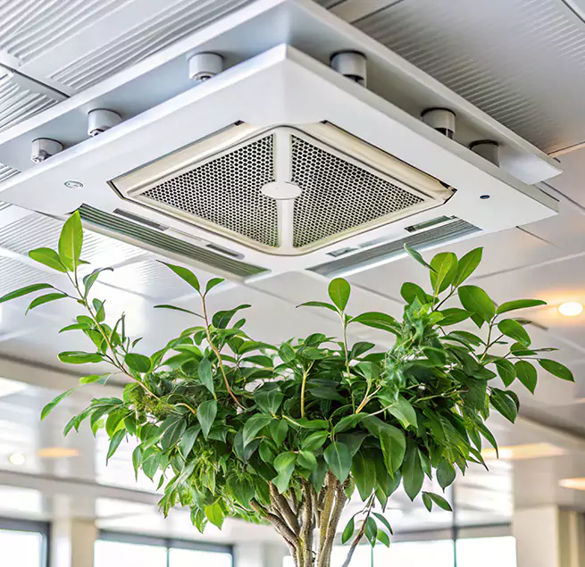 Why Homeowners & Businesses Trust Us in Perris, CA